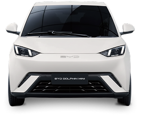 BYD Dolphin Mini branco visto de frente